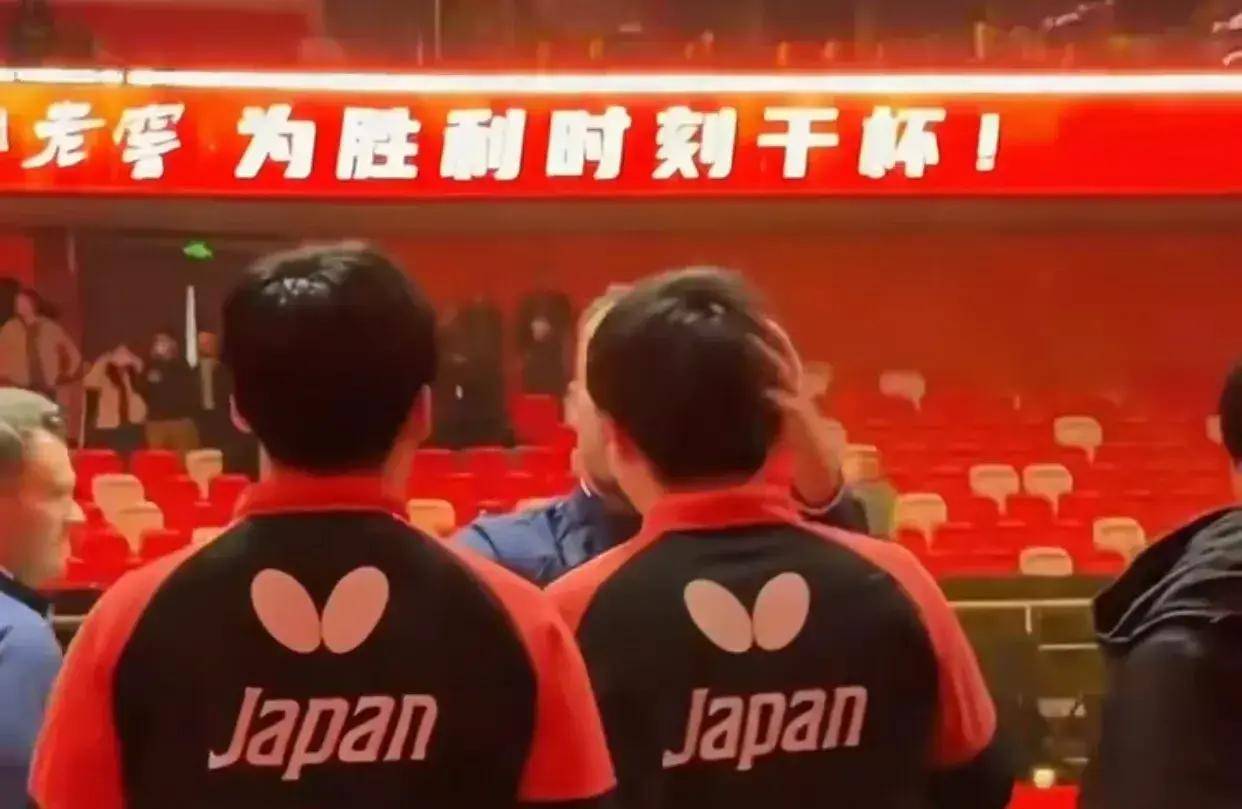 关于瑞典队鏖战中国队，张本智和关键制胜的信息