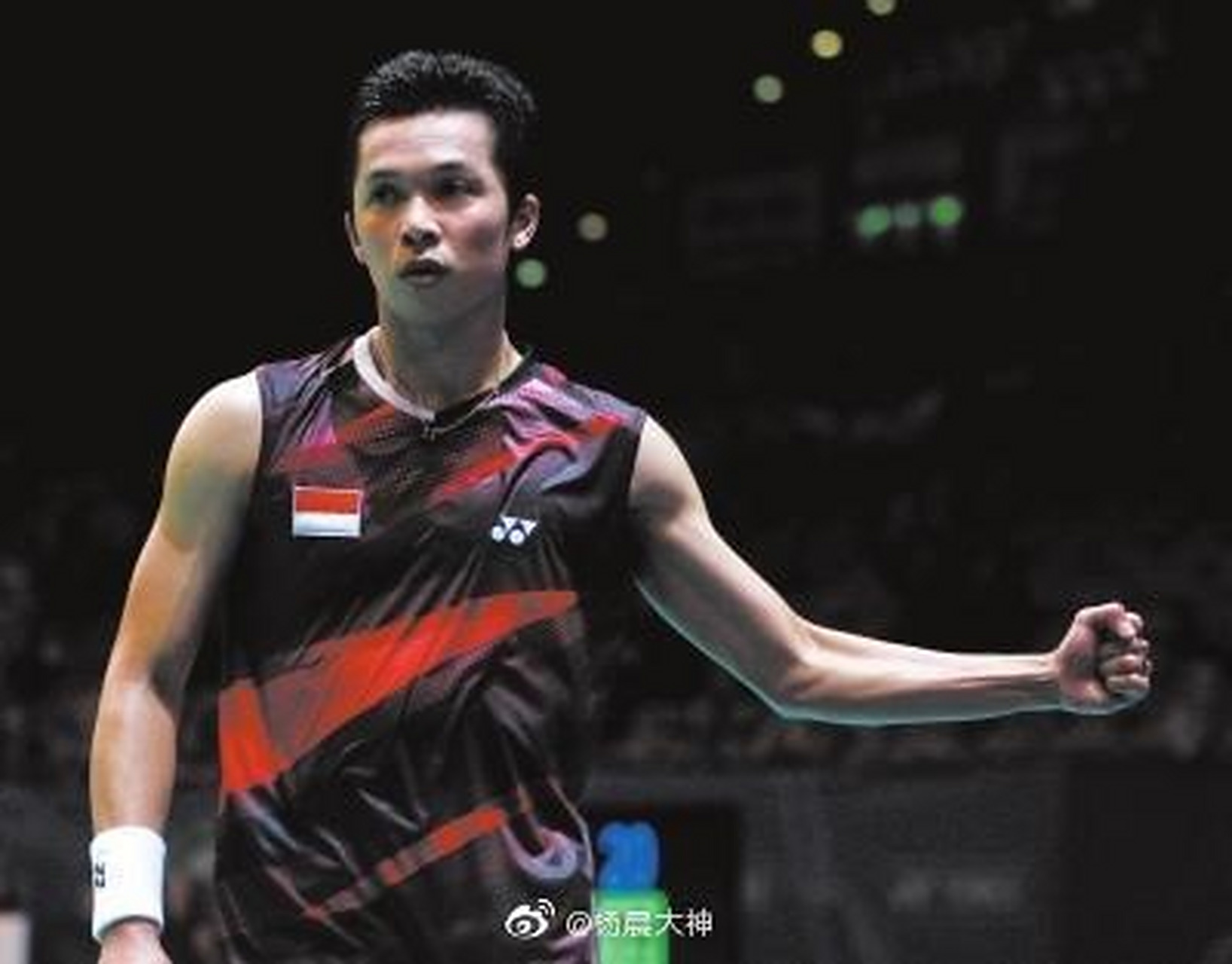 关于泰国羽毛球队血洗印尼羽毛球队，陶菲克制霸全场的信息