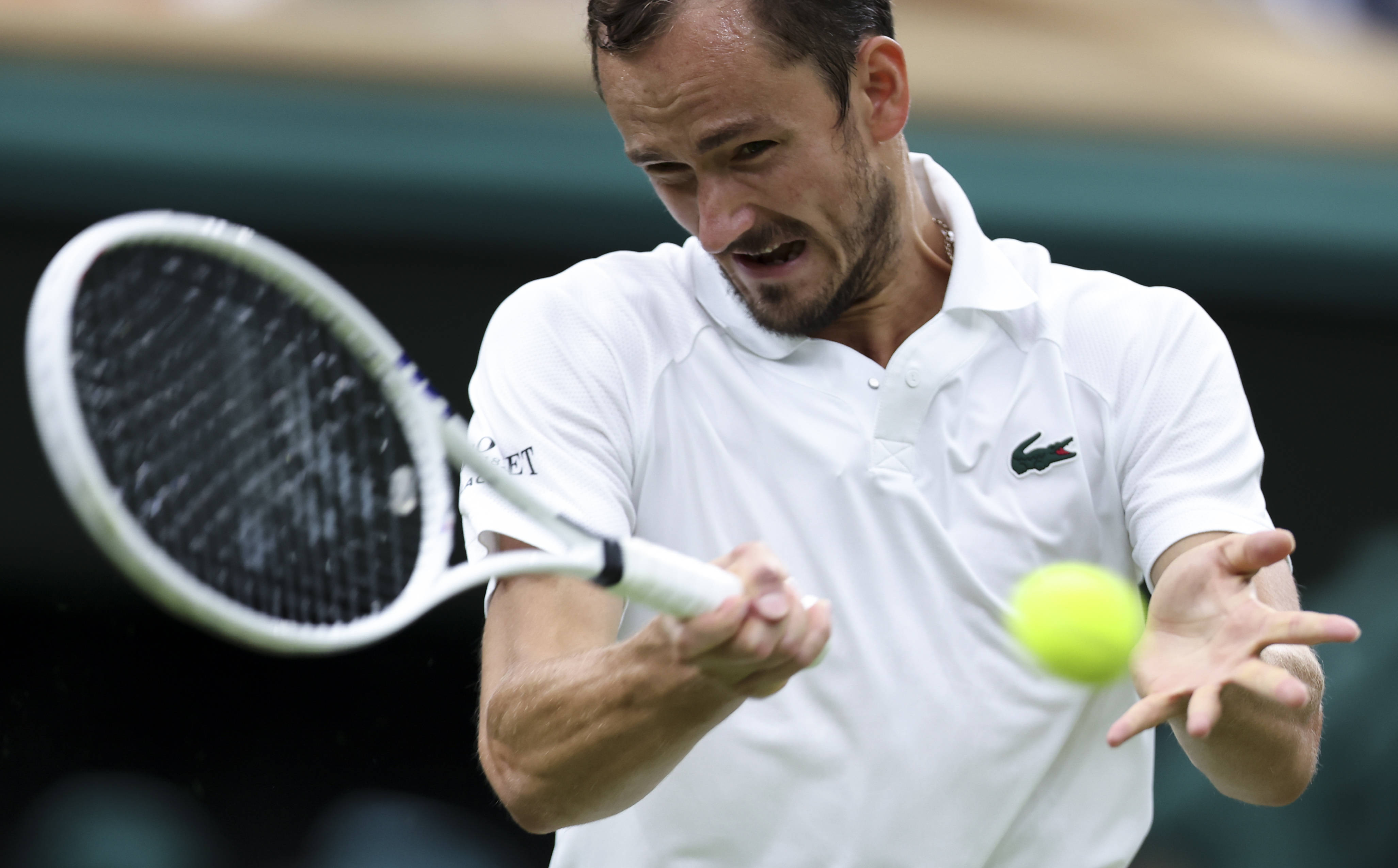 温网绝杀ATP总决赛，梅德韦杰夫点燃赛场