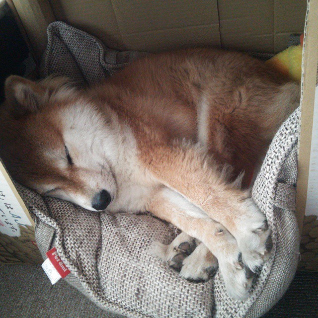 奥纳纳神勇爆发,南非锋线连续施压,切尔西遭遇战术压制