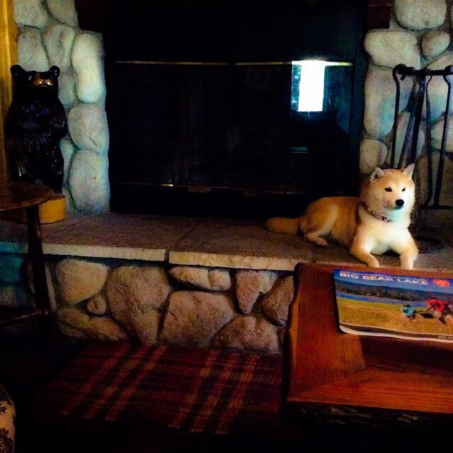 世界排名争夺战焦点战,鹈鹕绝杀快船,改写西区格局