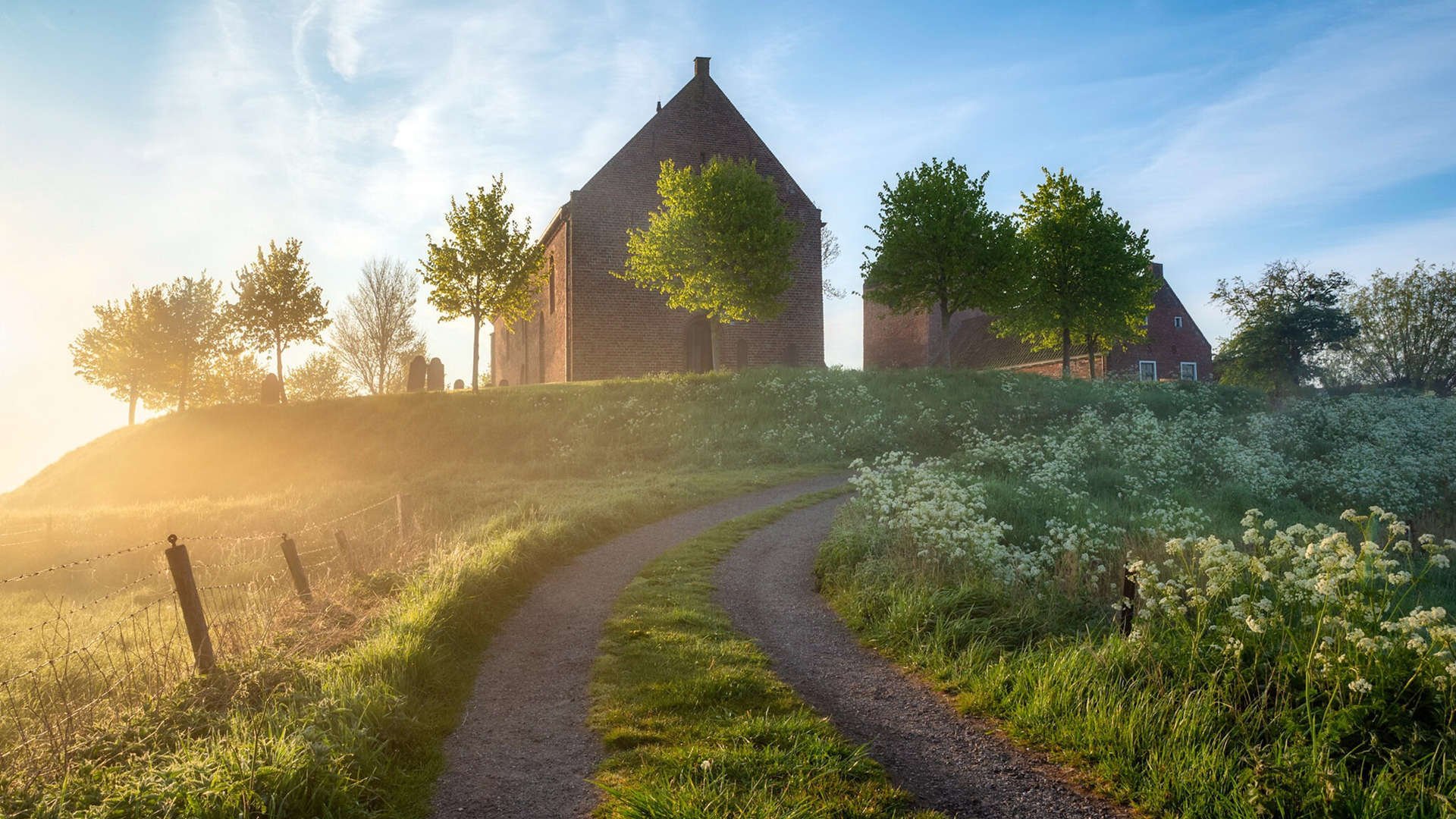 灰熊火力压制广东队，戈贝尔成为关键先生，一场战术与意志的较量