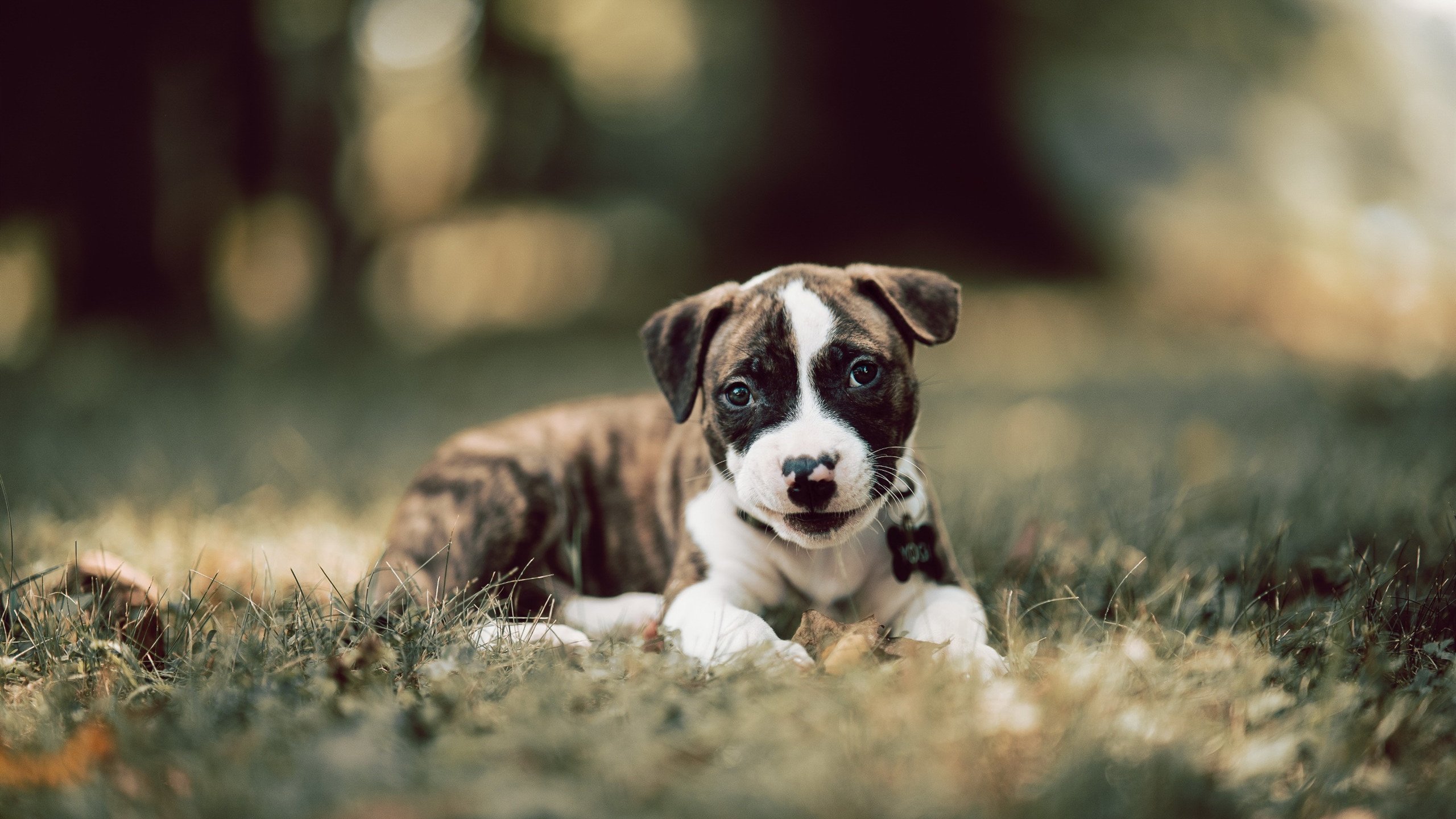 欧冠决赛之夜，克莱贡献制胜表现