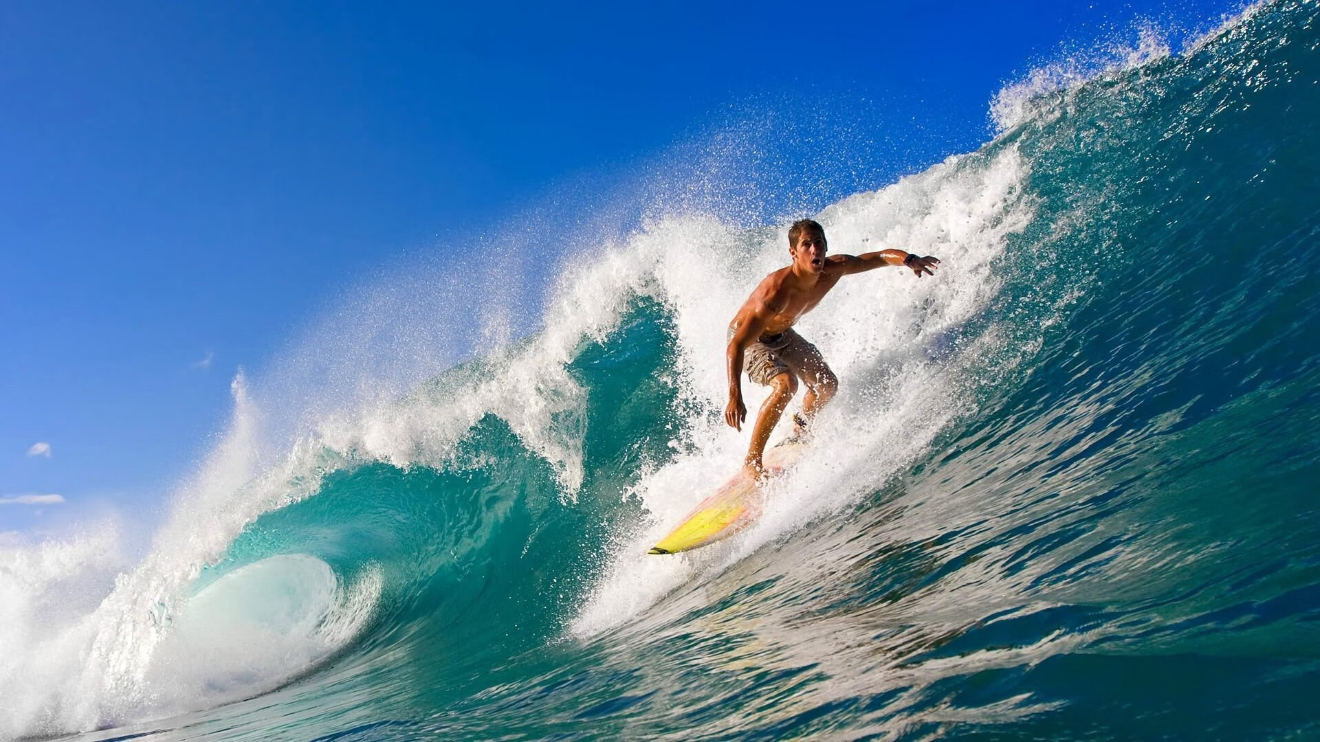 魔术收割活塞，武切维奇德甲争冠战接管比赛的艺术